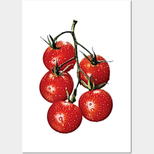 TOMATO Posters and Art